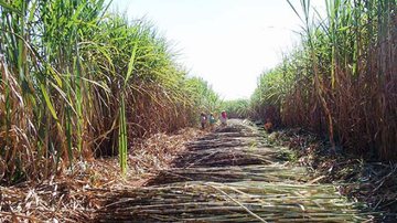 Arquivo/Agência Brasil