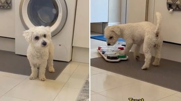 Reprodução/Redes Sociais