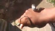 Imagem Cobra é encontrada em guarita de condomínio de luxo em Salvador; veja vídeo