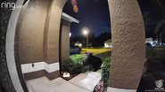 Imagem Casal sai para passear com cachorro mas urso manda todos de volta para casa; veja vídeo e entenda