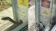 Imagem Mulher vira amiga de cobra que não queria sair da porta de sua casa