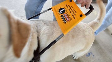 Divulgação/Pref. Campinas