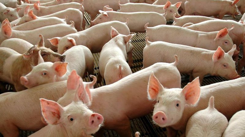 Divulgação Governo Federal