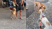 Reprodução/TikTok