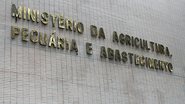 Arquivo/Agência Brasil