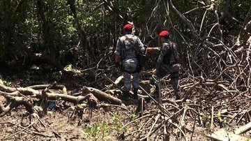 Reprodução/TV Verdes Mares
