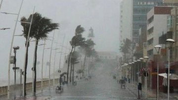 Reprodução/ Codesal