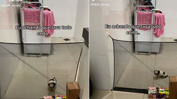 Imagem Mulher fica frustrada ao descobrir como cachorrinha escapa com facilidade; veja vídeo
