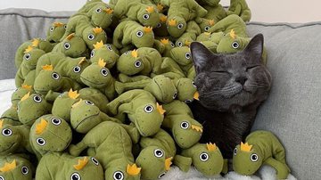 Reprodução/Instagram