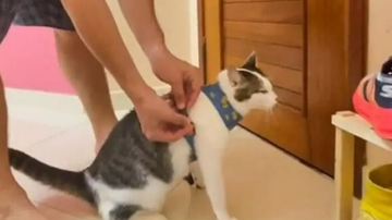 Foto: Reprodução/TikTok