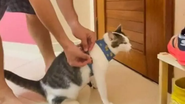 Foto: Reprodução/TikTok