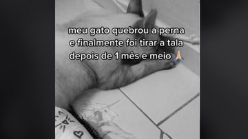 Imagem Gato vai ao veterinário e tem surpresa desagradável após ficar com patinha engessada; veja vídeo e entenda