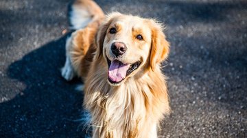 Foto Ilustrativa/Pixabay