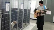 Reprodução/Facebook/Friends of Vance County Animal Shelter