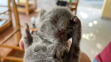 Reprodução/Facebook