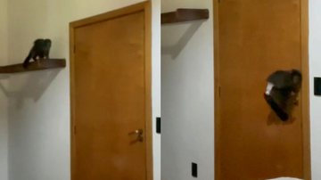 Reprodução/TikTok @dudinhaarrudaa2