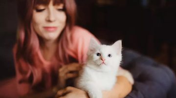 Input/ Anastasia Ludwig/ Reprodução