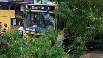 Leitor Bnews