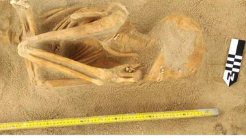 Reprodução/ Tv Globo