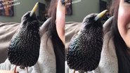 Reprodução/TikTok