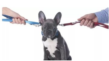 Reprodução/site jusbrasil