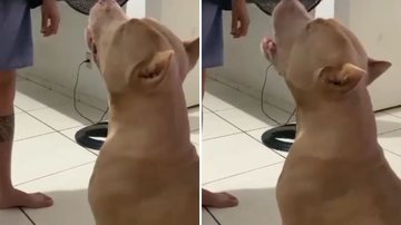 Reprodução/TikTok @tathiuym