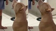 Reprodução/TikTok @tathiuym