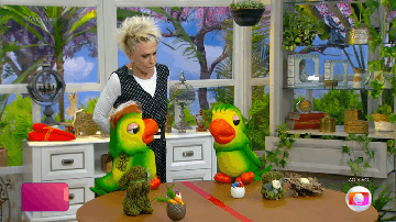 Reprodução / Rede Globo