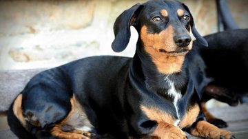 Foto Ilustrativa/Pixabay