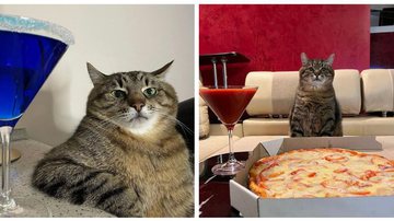 reprodução/Instagram