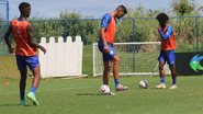 Felipe Santana/EC Bahia