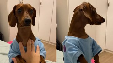 Reprodução/Twitter @ladylaara