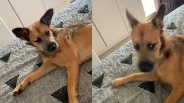 Reprodução/TikTok @luisamarun