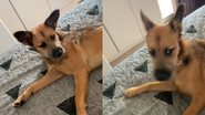 Reprodução/TikTok @luisamarun