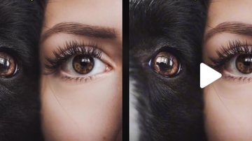 Imagem Tutora tenta reproduzir foto com cachorro e resultado não sai como esperado; veja vídeo
