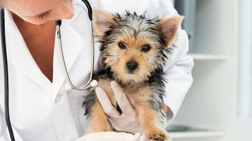 Reprodução/ Facebook @qualittas