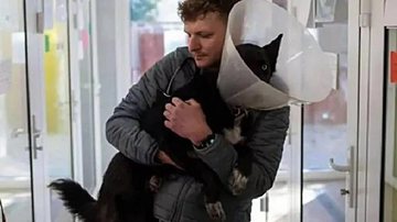 Cães Online/Reprodução