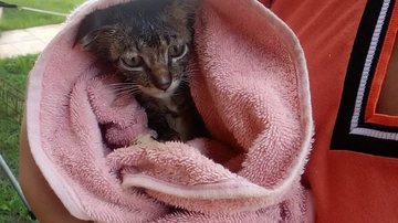 Divulgação / Corpo de Bombeiros