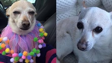 Reprodução Redes Sociais