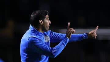 Cesar Greco/Palmeiras