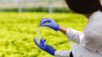 Reprodução/ Freepik