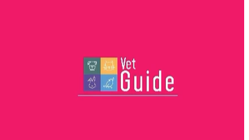 Reprodução// Instagram @vetguide.app