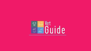 Reprodução// Instagram @vetguide.app