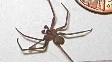 Ilustrativa/Agência Brasil