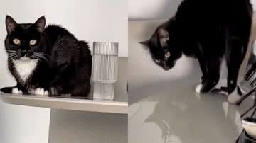 Reprodução/TikTok @cindysnd