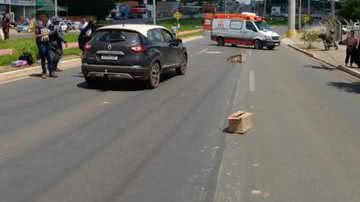 Reprodução/Redes Sociais