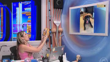 Reprodução/Tv Globo