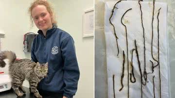 Reprodução/VetPartners Ltd