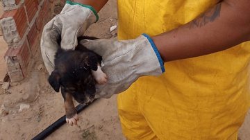 Divulgação/Corpo de Bombeiros