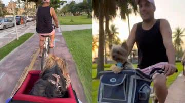 Reprodução/TikTok @euvoceeospets